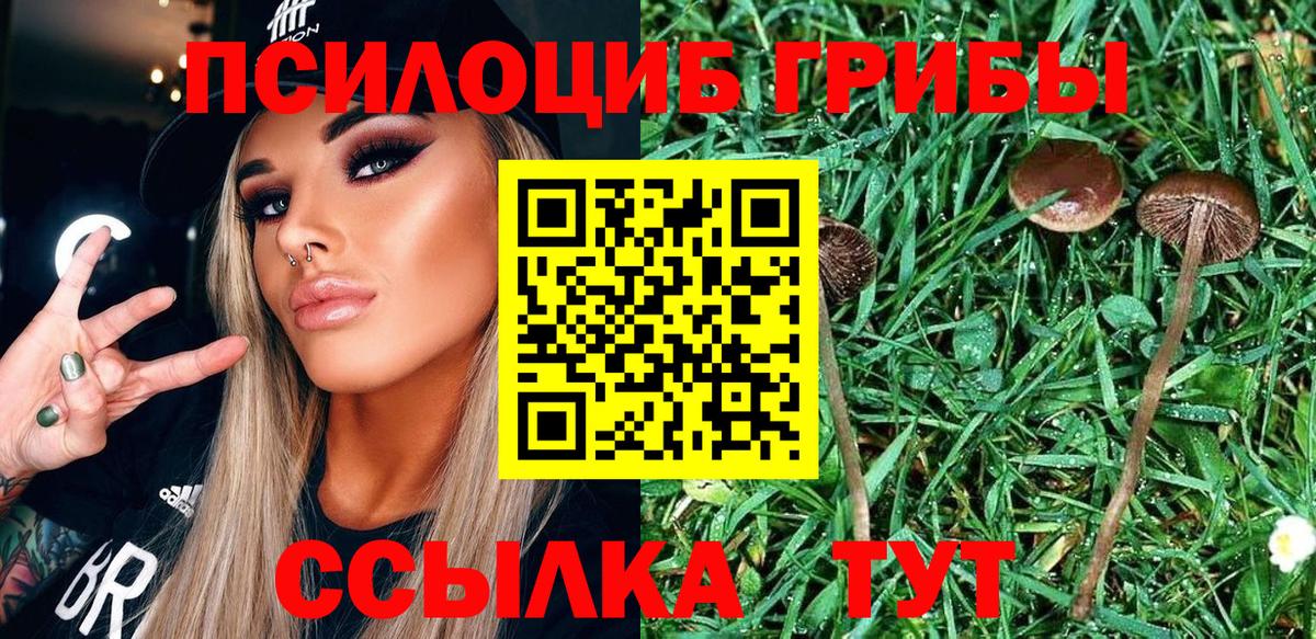 Галлюциногенные грибы Cubensis  купить закладку  Стрежевой  Вход с VPN 