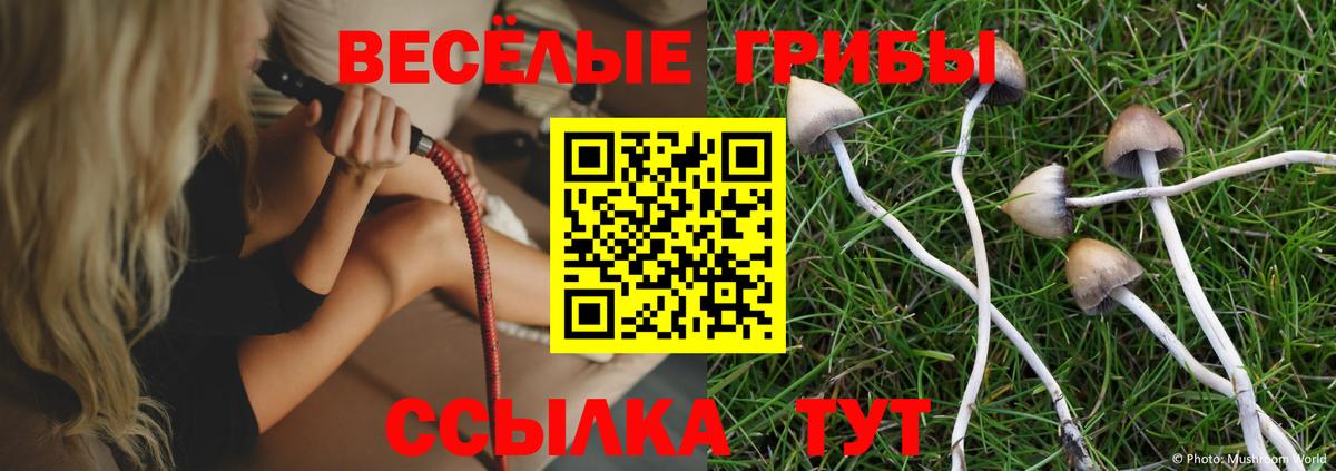 Галлюциногенные грибы GOLDEN TEACHER Стрежевой